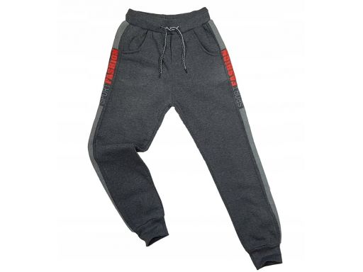 Ciepłe spodnie harison r 10 - 134/140 cm grey