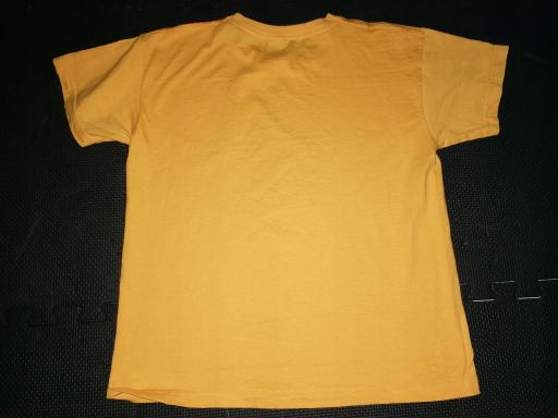 Fruit oftheloom t-shirt bluzka bawełna r.128 | *5629