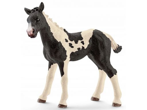 Schleich figurka łaciaty źrebak 13803