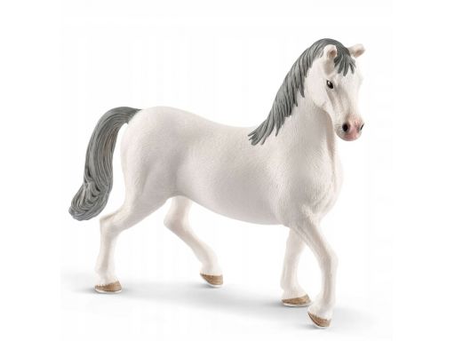 Schleich figurka lipizzaner ogier 13887