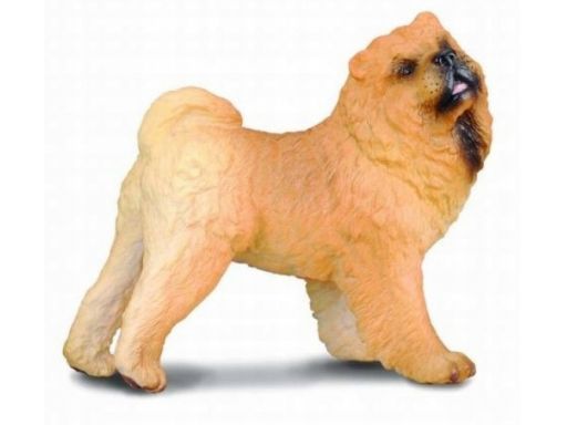 Collecta figurka pies rasy chow chow 88183