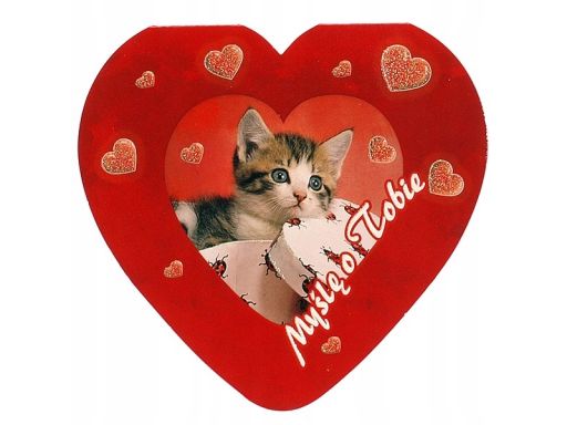 Karnet walentynkowy serce wzór 6 kot myślę o tobie