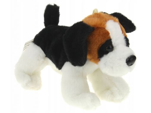Maskotka pluszowa pluszak pies z dźwiękiem 8 cm