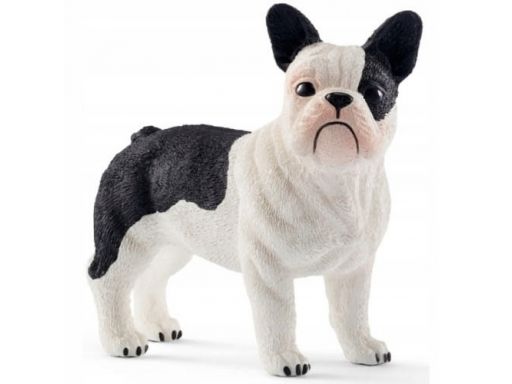 Schleich figurka pies francuski buldog 13877