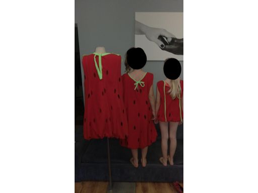 Zestaw truskawka mama+tata+dziecko kostiumy owoce