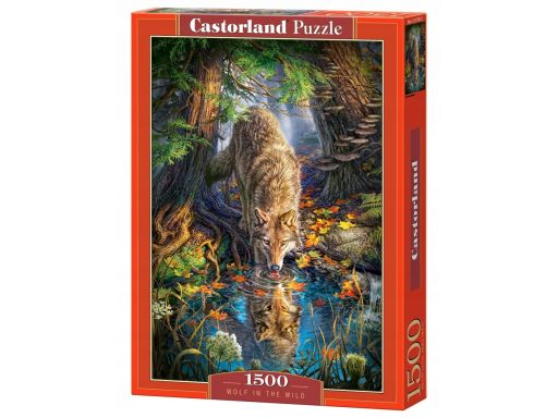 Puzzle 1500 wolf in the wild castor