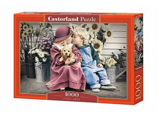 Puzzle 1000 first love castor