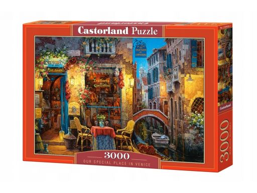 Puzzle 3000 our special place in venice castor