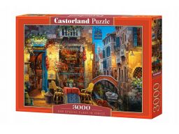 Puzzle 3000 our special place in venice castor