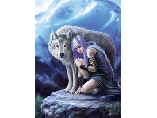 Puzzle 1000 anne stokes collection protector