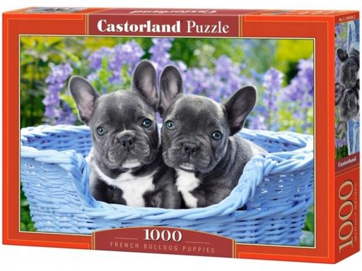 Puzzle 1000 french bulldog puppies castor