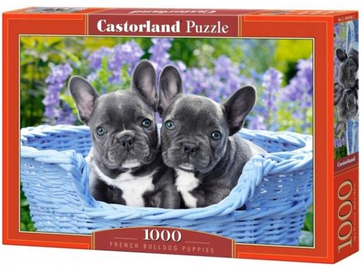 Puzzle 1000 french bulldog puppies castor