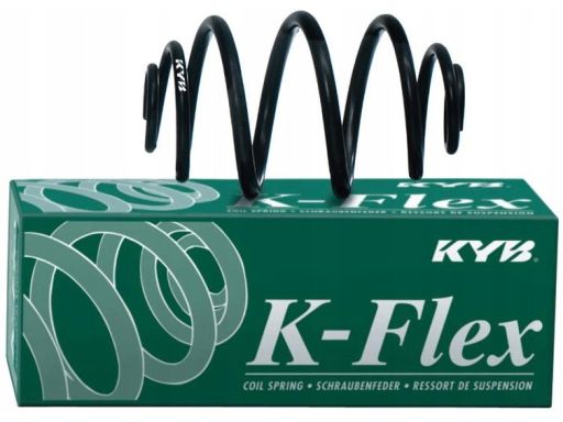 Sprężyna Zawieszenia Ra6658